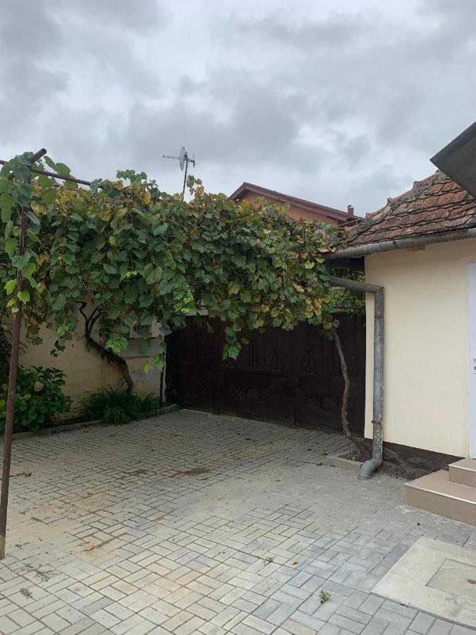 Casa Taraneasca * Băile Felix
